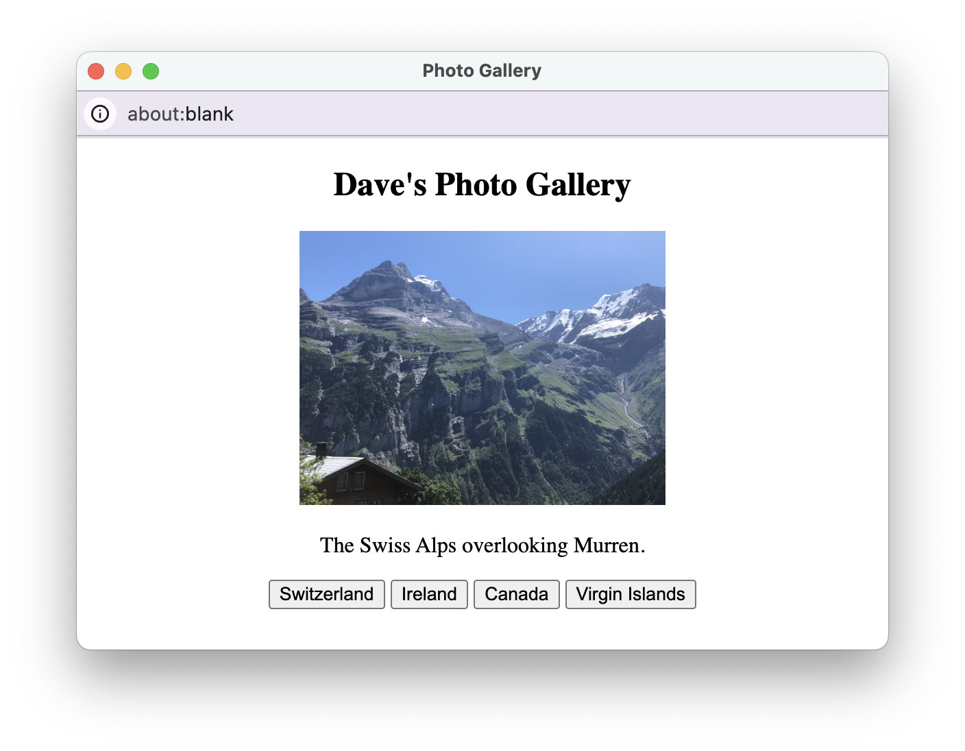 Photo Gallery Screenshot